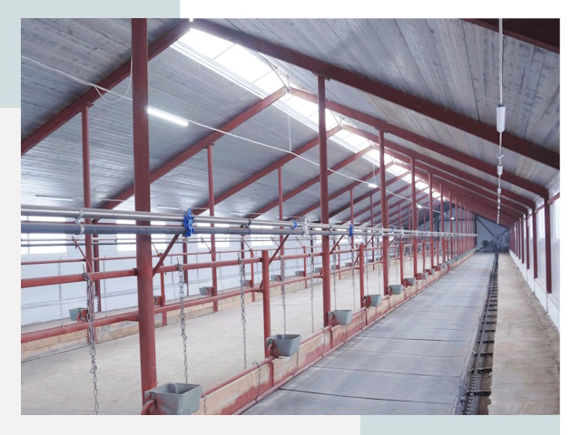 Строительство коровников в Находке от 619 руб.