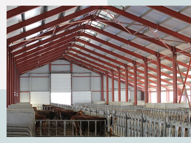 Строительство коровников в Находке