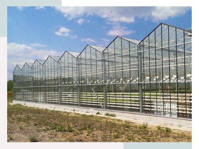 Строительство теплиц в Находка от 619 руб. за м²