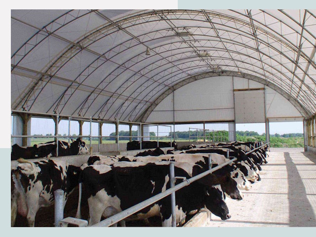 Тентовые коровники в Находке